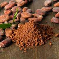 CelluCare - Cocoa Bean Extract